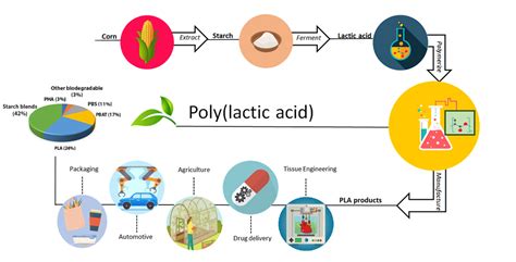 Lactic Acid Polymer: A Versatile Bioplastic Revolutionizing Packaging and Biomedical Applications!