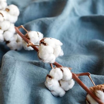  Bouclette de coton: Ses propriétés exceptionnelles pour une qualité inégalée dans le textile d'ameublement !