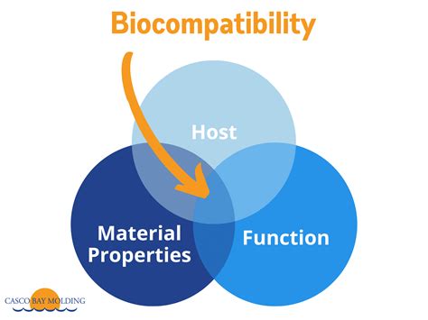  Dextran: Quelle polyvalence étonnante pour la fabrication d'implants biocompatibles !