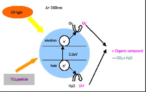 Titanium Dioxide Nanoparticles: Unlocking Potential for Advanced Catalysts and Self-Cleaning Surfaces!